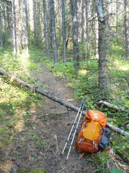 Typical terrain on the Soda Creek Trail to Beehive Mountain: note the blue blazes 