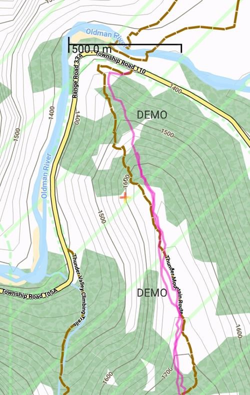 Route to Thunder Mountain from the Livingstone Gap: purple track taken by {212 d mu}