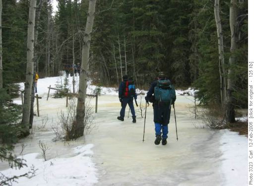 big ice flow on Wolf Creek Trail