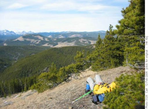 Nap with a view