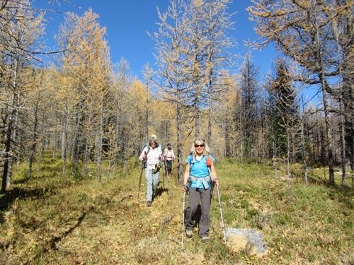 {731 Ald Hall}, {2153 Deb Wald} & {206 Barb Mitchell} descending through the larch forest