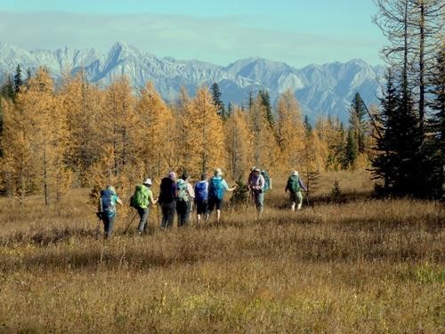 Down through the meadows, Sawback Range in distance