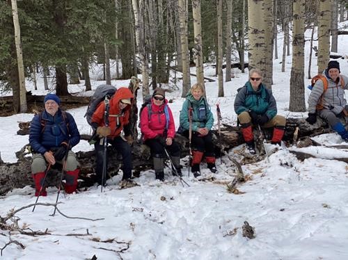 Ramblers on a log