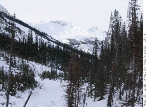 View NW at Fay hut Jct
