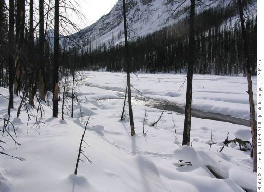 Tokumm Creek - view to SE