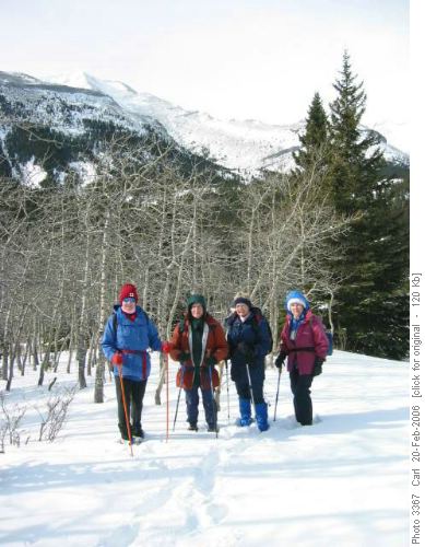 In the upper meadows of Wileman Creek