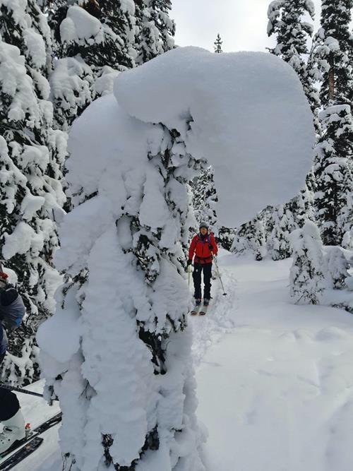 Andre heading up from the Healy Creek bridge