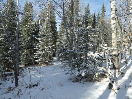 Lower trail