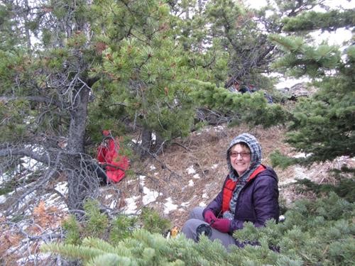 {1314 Barb Brunton} (and hidden others) sheltering below the ridge from the wind