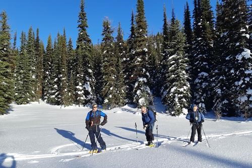 Near Simpson Pass