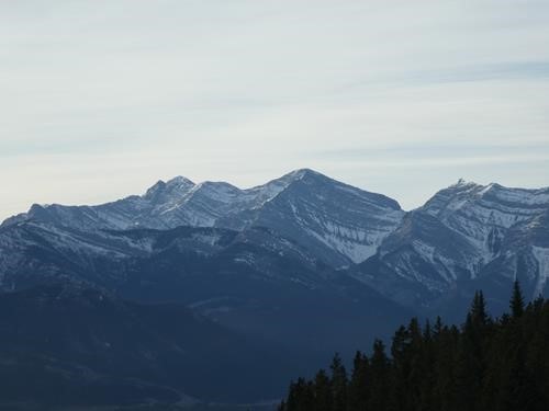 View west
