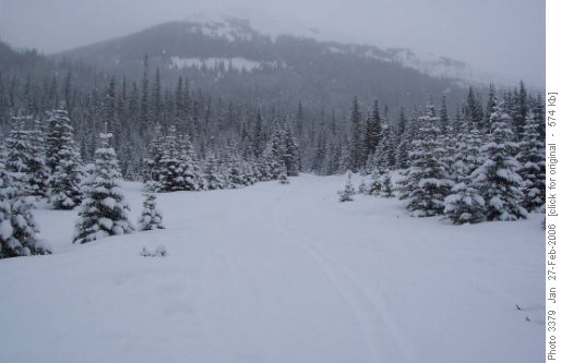 Snowy outlook from Sawmill parking lot