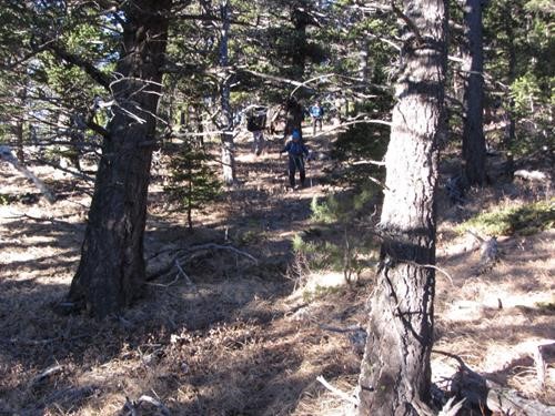 Working our way down the sunny ridge