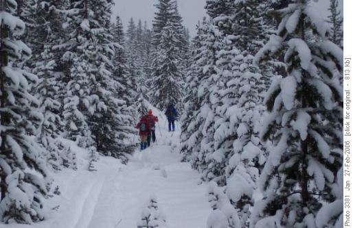Skiing the red trail