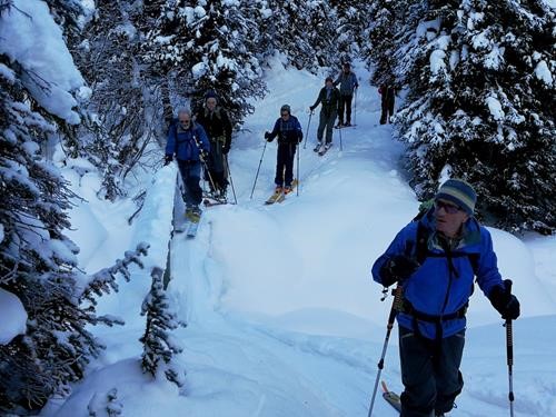 Back at Healy trail
