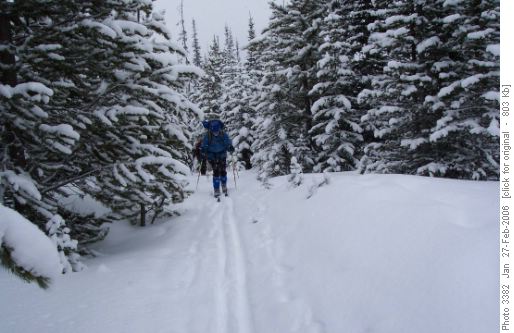 Dave Reid skiing