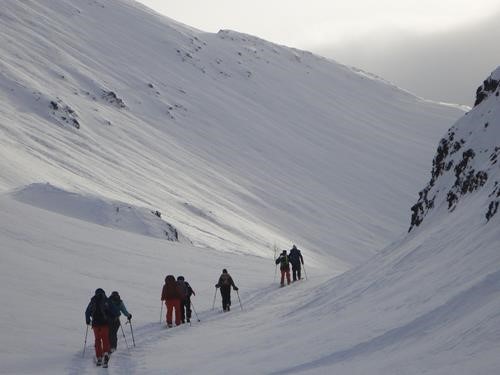 Ramblers ascend the creek to Piggy Plus/Burstall col