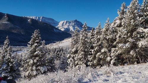 Snow and frost covered landscape provides an exhilarating ambience 
