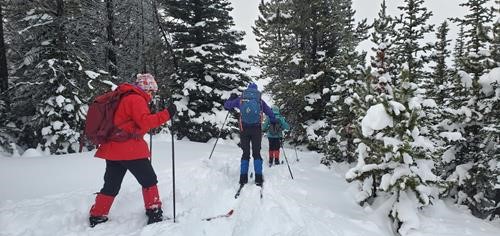Nakiska Lodge to Skogan Pass trip