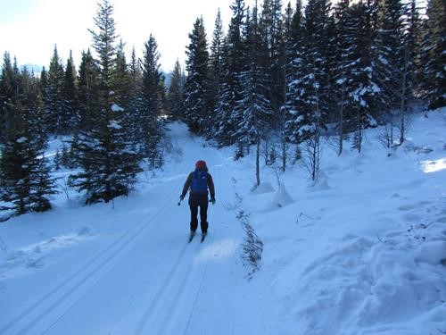 Jo rockets down Aspen trail