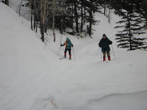 {172 ch g} and {220 ji pa} traverse possible Avalanche slope on trail down from Skogan Pass to Dead Man's Flats 