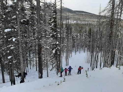 We left the main trail at the top of this hill. {1564 Teresa Leszczynska} photo.