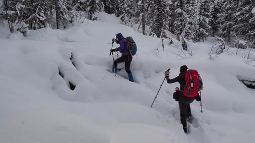 Crossing the creek where trailbreaking begins.