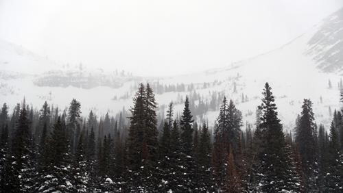 View of Birdwood Col; appeared to have some avalanche activity on cossloaded slopes. 