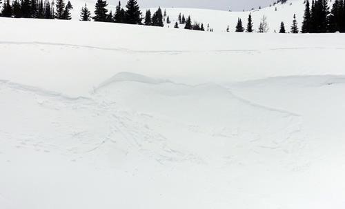 Small slab release triggered by skiers on lee slope of roll. 