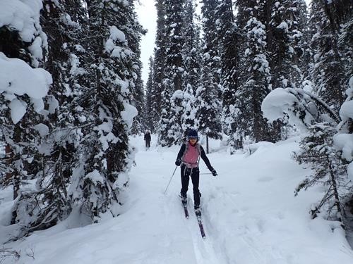 {2086 t mi} on trail near Spray River Bridge