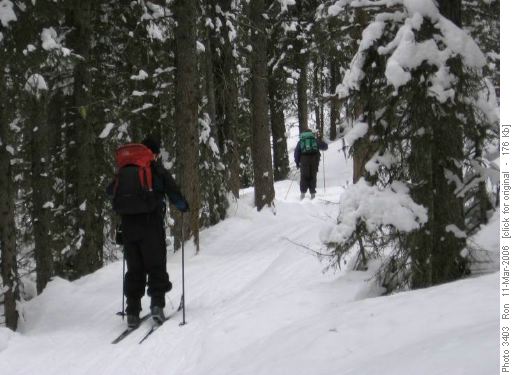 Fox Creek trail