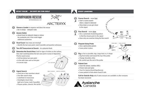 Companion Rescue Plan