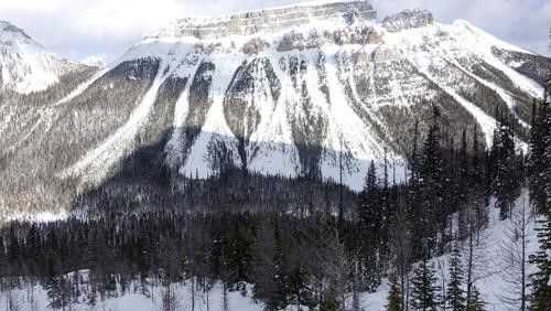 Avalanche slopes on south face of Boom Mountain