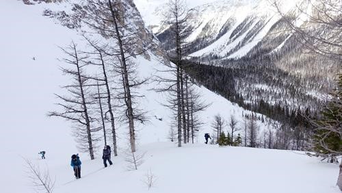 Climb to treeline for our first run.