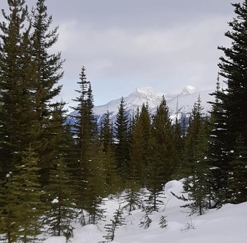 Hazy mountain views from main trail