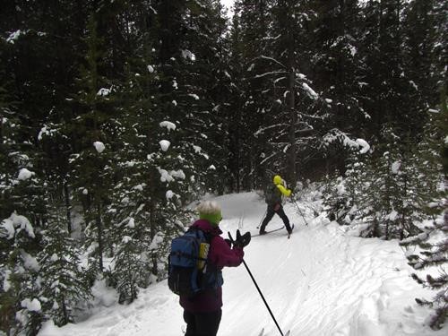 A short, narrow & slick hill between Castle Jct & Castle Lookout PL 