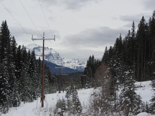 Mount Temple from along the power line