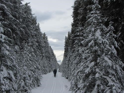 along the old road right-of-way on the way to Baker Creek