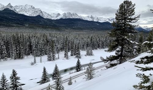Views at the viewpoint