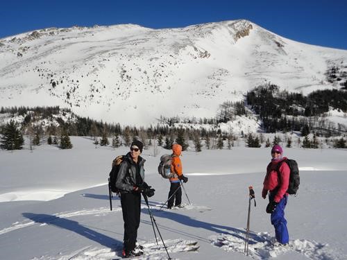 {1063 in s}, {168 si gal} and {1886 j ea} in the meadows below Redoubt Lake