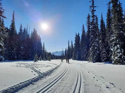Tyrwhitt trail in excellent condition