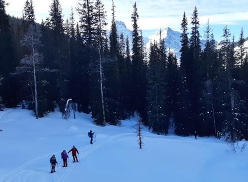Going up to boulder field