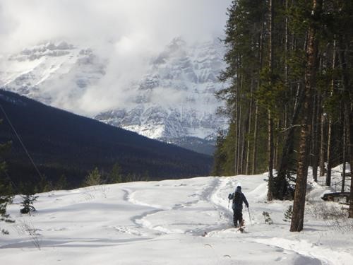 {810 le joh} skis to get a better view from the bench above Baker Creek near the cars 
