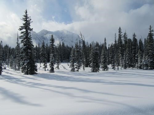 Snowy view of the WW1 generals from Patterson trail