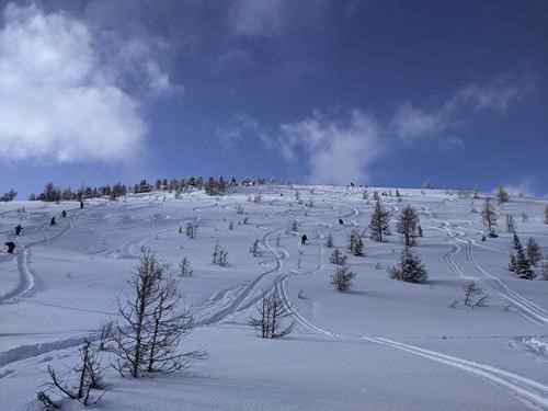 Tracked slopes above the Wawa lift