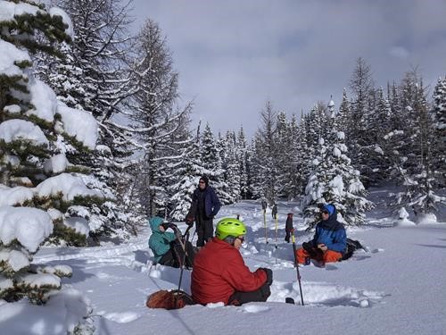 Lunch near Wawa Ridge: {172 ch g}, {2273 bri robi}, {184 k ke}, {1455 dav ki}