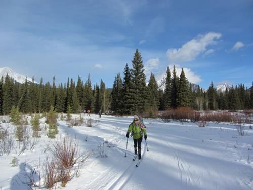 Janet leads the way across the flats