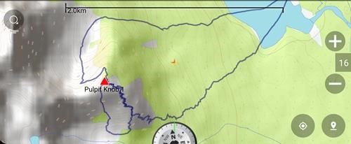 Pulpit Knob 1 track - detail from Hector Lk to summit & return