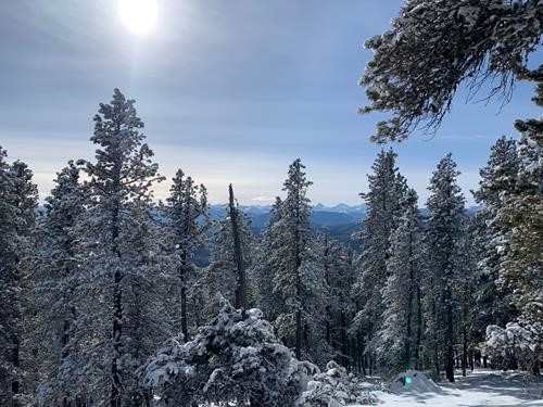 Beautiful winter foothills country 