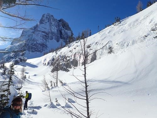 Leaving the trees below the col